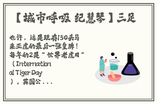 国产精品日韩精品色欲AV